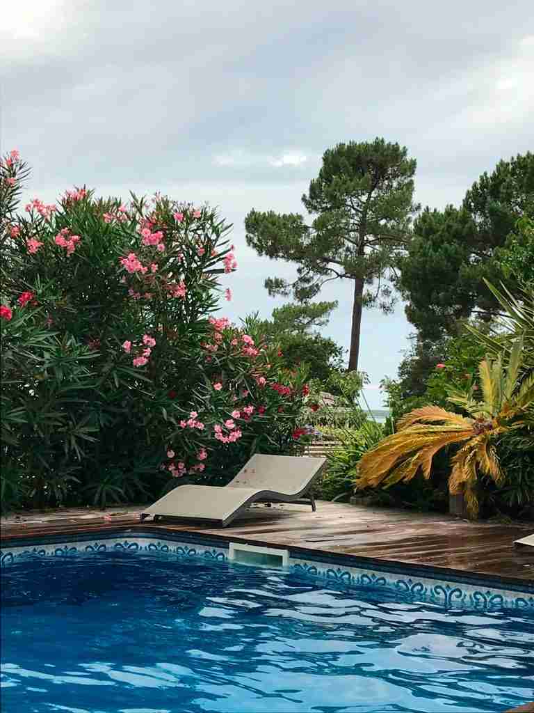 Zona de la piscina con mucha vegetación en nuestro proyecto Pyla-sur-Mer Proyectos Pilar